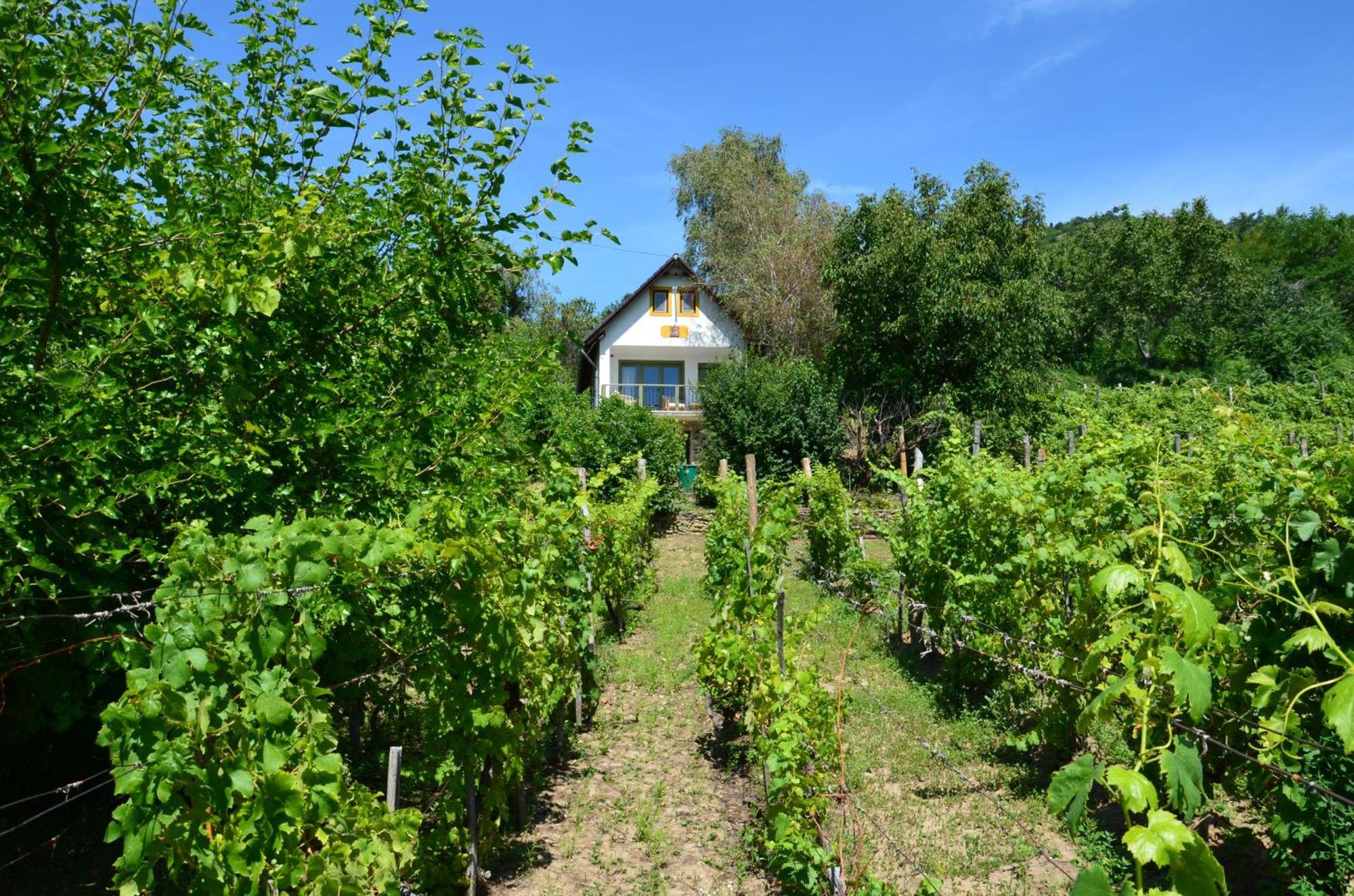 Вилла Grand Cru 3. Vendeghaz Hegymagas Экстерьер фото